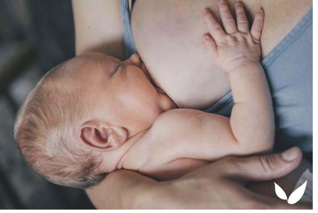 1-2 poporodní schůzky